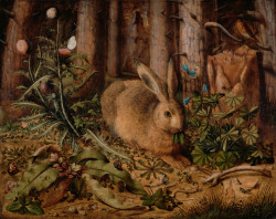 pagewoman:    A Hare in the Forest by Hans Hoffmann (c1585)