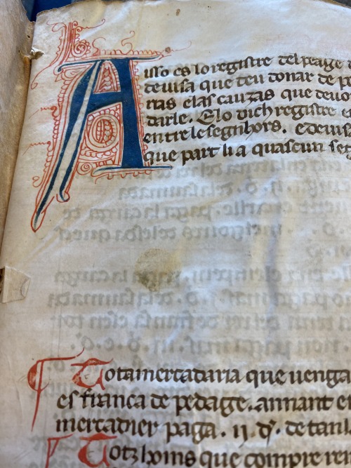 Ms. Codex 970 - Registro del peage d'Arle Possibly written in Arles between 1400 and 1450 CE, this m