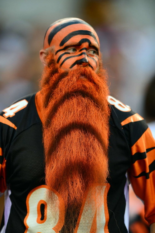 usatoday:Cincinnati Bengals fan? Or an actual Bengal?(Photo: Andrew Weber, USA TODAY Sports)Don&rsqu