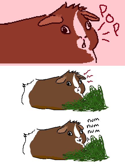 teacupsandpans:  DOOn’t touch my hay even if its about to stab my eye