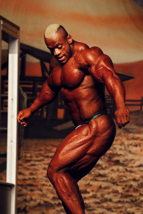 longlaz:  Essa Obaid