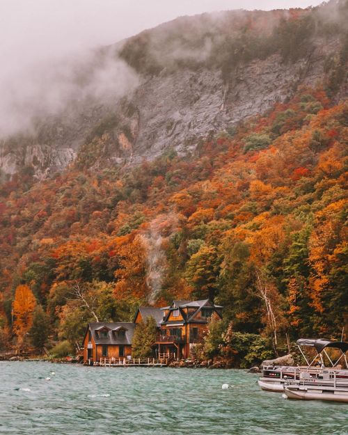 wild-cabins:    Chris Daniele  