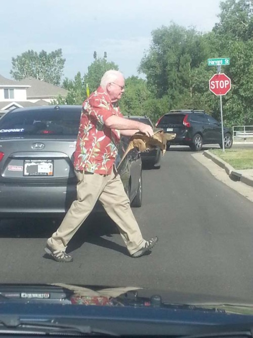 emvarkssparks:  satan-in-a-box:  trinitrofenilmetilnitramina:  PEQUEÑOS ACTOS DE AMABILIDAD HACEN UN MUNDO MEJOR…   Okay but are we not going to talk about how that man is picking up a fucking snapping turtle with his bare hands?? bad ass  srlsy