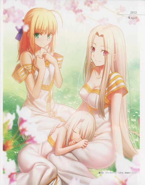 [TYPE-MOON] Fate/Art Chronicle Fate 10th Anniversary Art Book (Fate/stay night, Fate/hollow ataraxia)