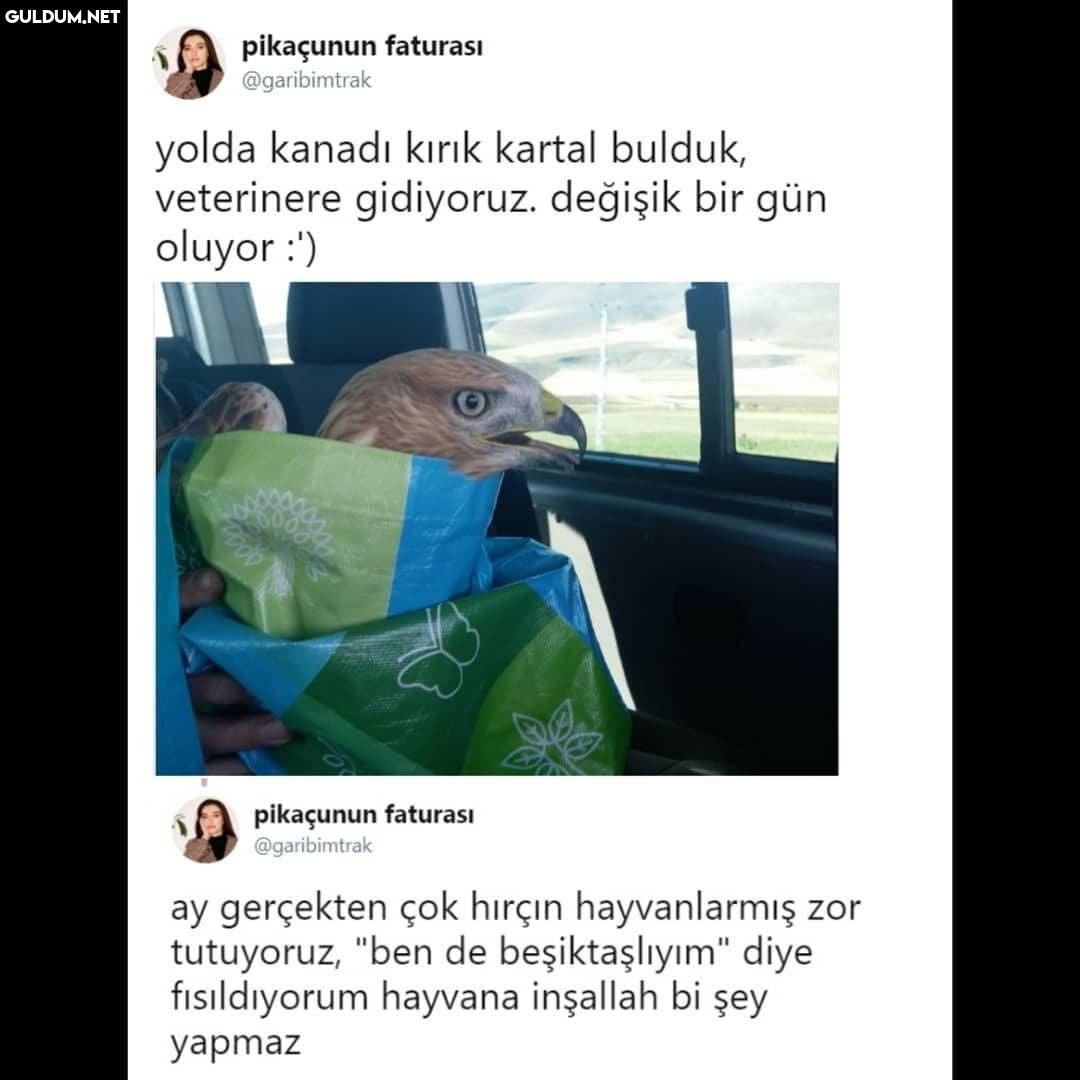 pikaçunun faturası...