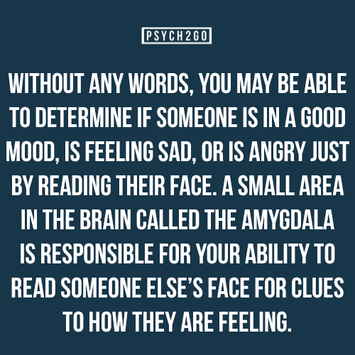 psych2go:  If you like these posts, check out @psych2go.
