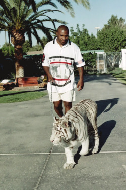  Mike Tyson with his Bengal Tiger  