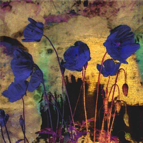 retroavangarda - Odilon Redon –Blue Poppies