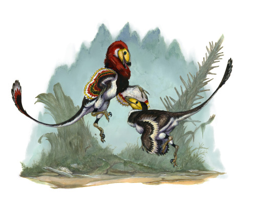 tiffanyillustration:Achillobator.The hoots and trills of a courting couple of Achillobator sound acr