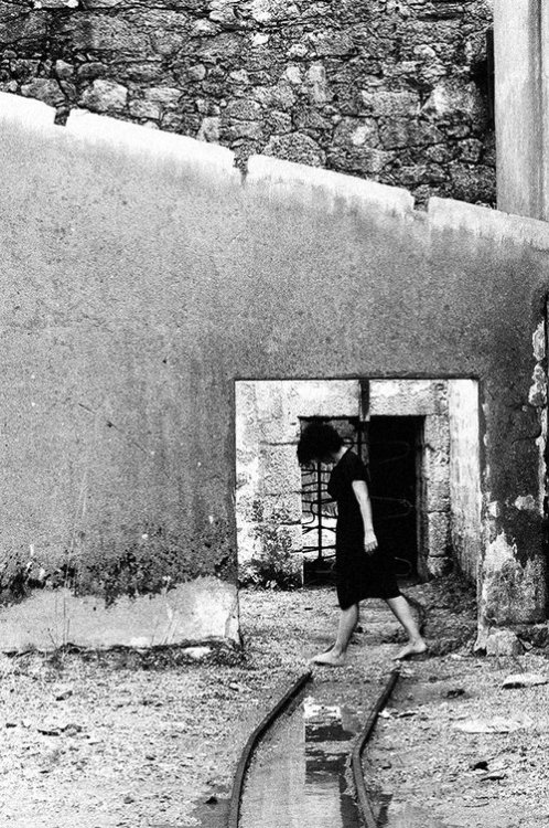 Cinda Miranda PortugalFrom the portfolio my eyes