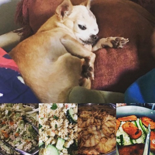 I make all sorts of good one pot meals on Jolene but also&hellip;can we meditate on how my dog s