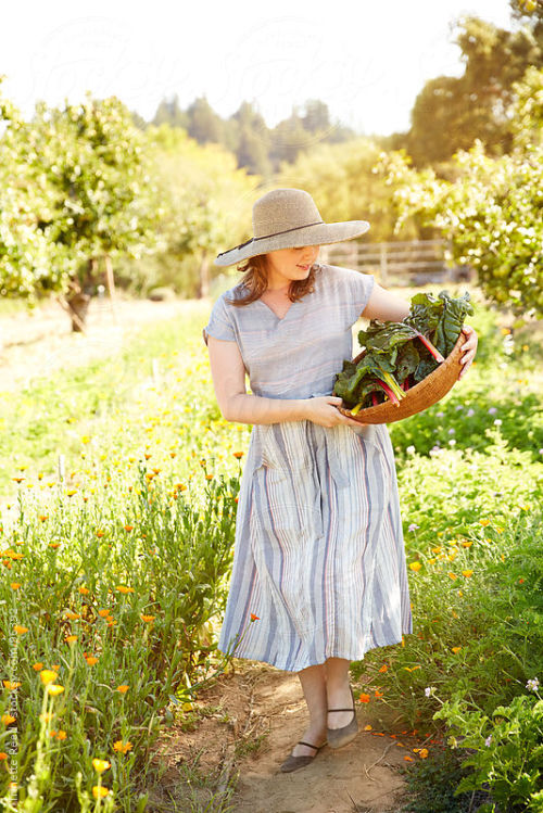 Woman farmer walking carrying organic vegetables on farm © Trinette Reed