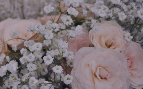 ♡Blog will be inactive till June of 2017♡