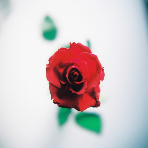 amazing-places-omg:  Best Tumblr blog