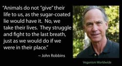 amymylove:  &ldquo;Animals do not &quot;give&rdquo; their life to us, as the sugar-coated lie would have it. No, we take their lives. They struggle and fight to the last breath, just as we would do if we were in their place.&ldquo; - John Robbins
