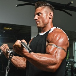 Adonis Files