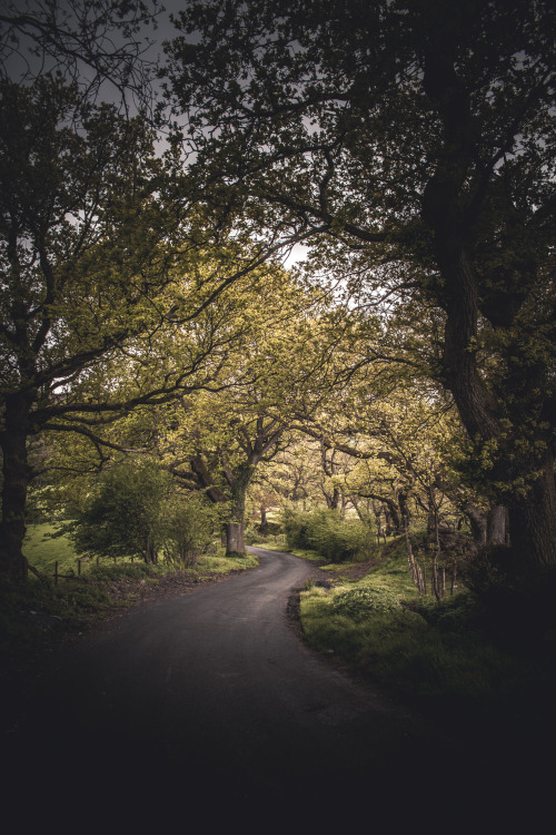 freddie-photography:  This is NorthumberlandFrom the mystery of countless castles, to the forests stradling barren moors, this is the hidden beauty of the county of Northumberland, England.By Freddie Ardley PhotographyWebsite | Facebook | Instagram |