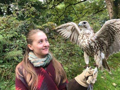 Breath of the Infinite,stir all my leaves. I want to be undone.....#ireland #falconry #green #birdme