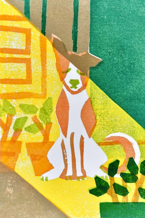 A Very Summery Doggust So Far.