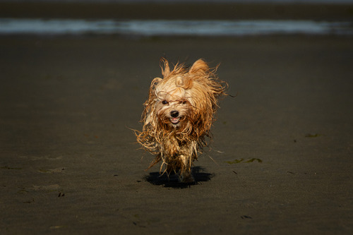 And the final series from Lewis beach adventure. These faces he&rsquo;s making here are too funny n