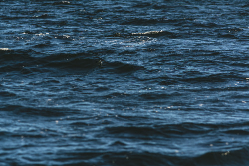 darkcoastphotography:  Wavelengths September 27, 2015 tumblr | flickr | facebook | society6 | instagram Do Not Remove My Credits 