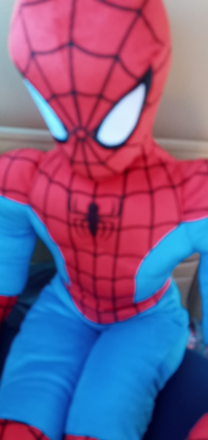 I Got My Peter B Plush Also Hes Cute 