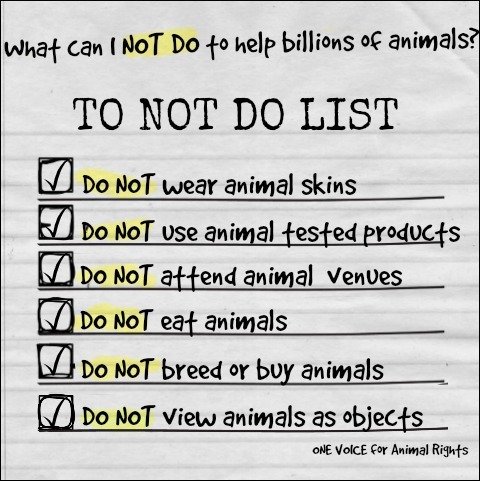 One Voice for Animal Rights — You can do necessary things to help animals  by...