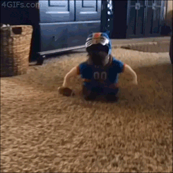 4gifs:  It’s going to be a ruff game. [vid]