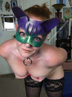 naturalass:  kittydenied:  Found some colorful kitty mask pics I never shared. :) Meow.   Wouaw