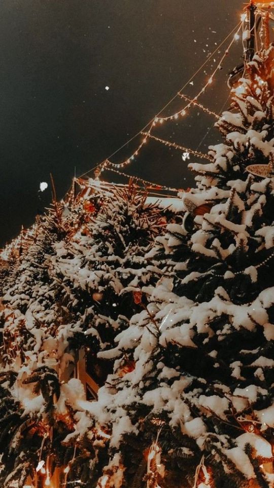 wintry--nights - Wintry Nights And Christmas Lights