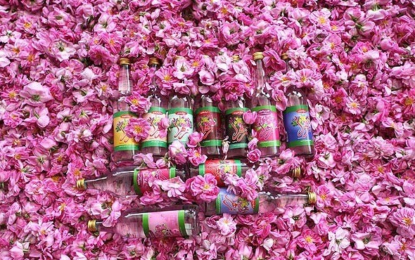 appassendo:   the-hidden-diaries:  The making of rose water in Iran.   Non penso