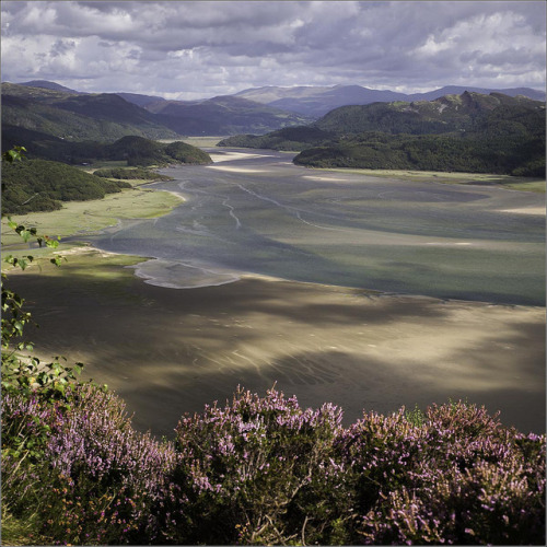 lovewales:Afon Mawddach  |  by Peter Williams