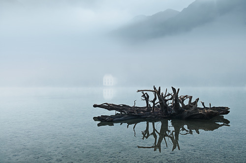 Foggy day at the lake