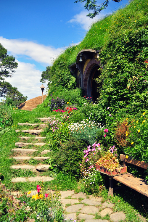 New Zealand Adventure: Hobbiton Did you know that there’s ranking in the Hobbit’s houses based where