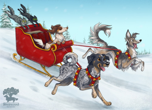 Here is the artwork I drew for our Holiday Cards this year! I didn’t order enough cards to sen