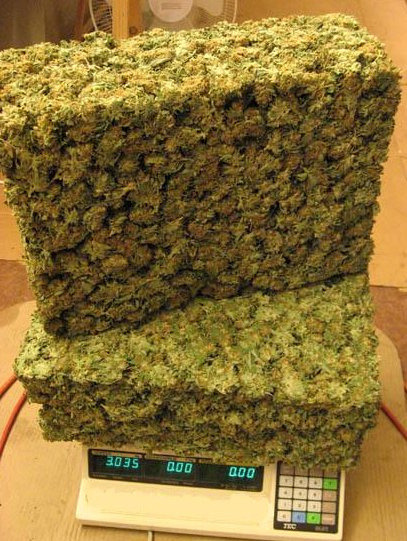 persianpyro:  Holy mother of marijuana..  