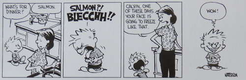 dailycalvinandhobbesenglish:(August 11, 1986)