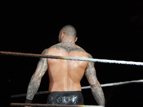 warblgarbl4lyf:  WWE live in Toronto pt 5 adult photos