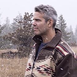 silverfoxmen:  Andy Cohen, TV Personality 