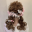 angelgirldoll