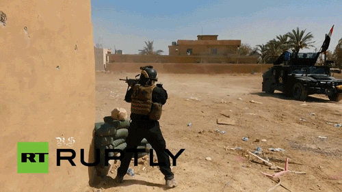 gh0stdivision:  celer-et-audax:  xhighwayman:  canadian-carbine:  majorleagueinfidel: