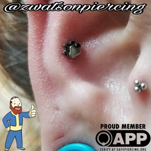 Paw prints everywhere! @e13anor will be piercing today 11 to 7! Stop in and start your journey today