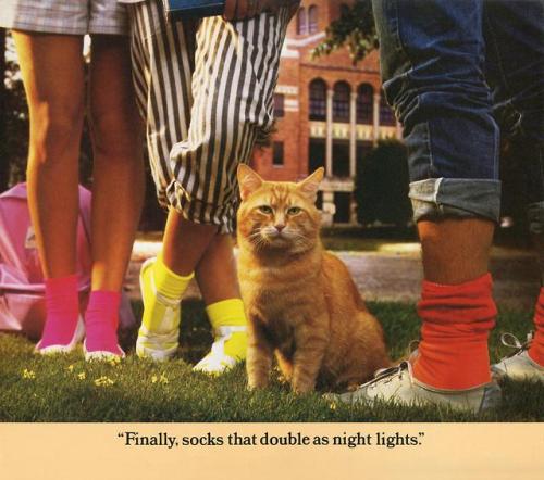 c86: Morris: A Cat For Our Times, 1986