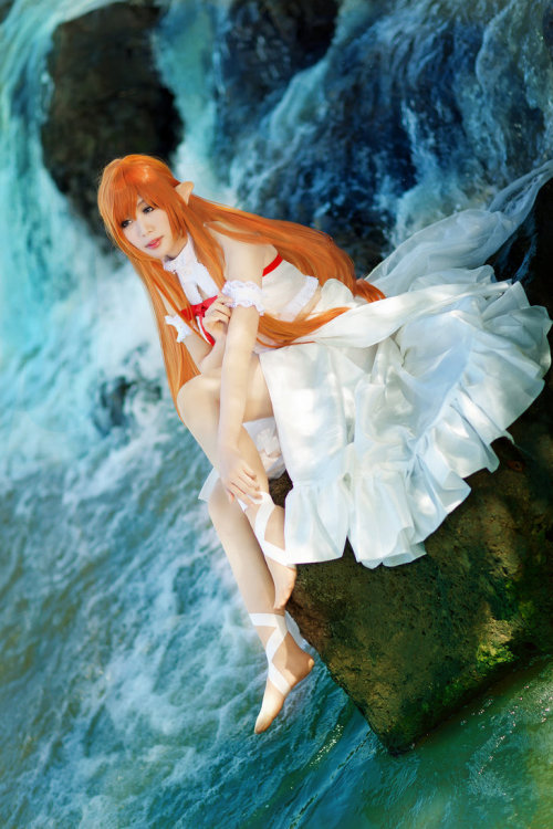 [Sword Art Online ~ Fairy Dance arc~]WAO | Cosplayer as Asuna (Titania ver.)Photo by Studio K2S