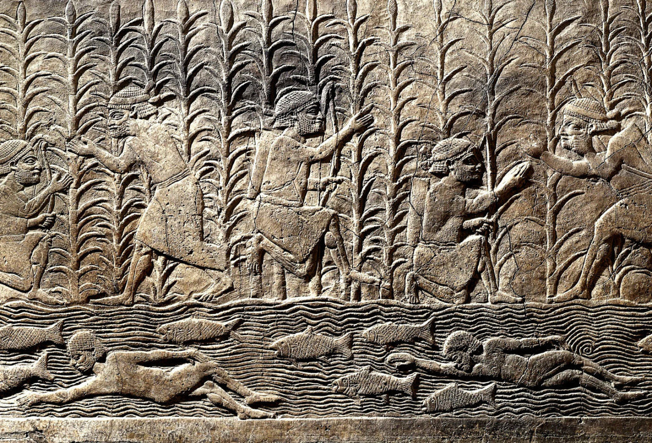 Yoga Onion Sumerian Mythology The Earliest Deities Of Yoga Onion Sumerian Mythology The Earliest Deities Of