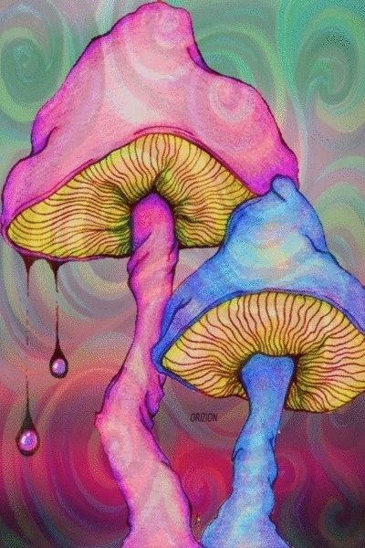 w-underrland:  Click to trip