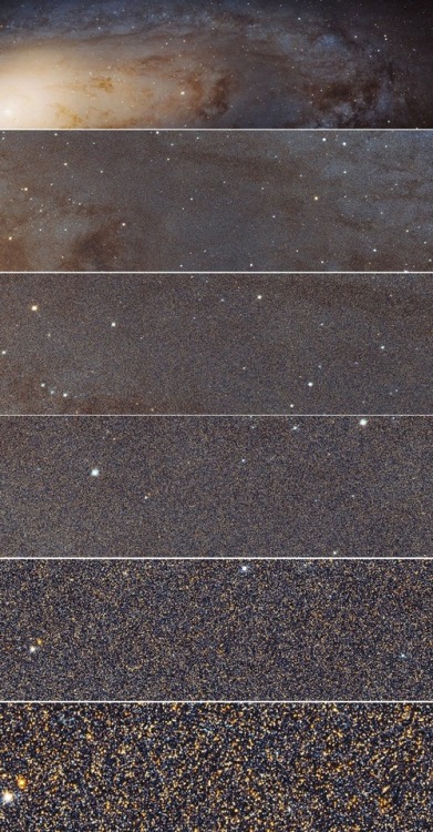 picturesquephysics: What a trillion stars look like; a sharp view of the Andromeda galaxy. From twit
