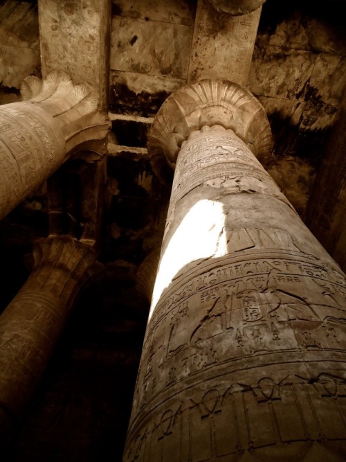 Pillars at the Temple of Horus at Edfu.