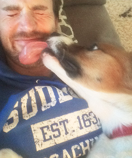 stan-evans:“I snagged [Dodger] and he’s such a good dog. They aged him at about