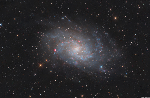 Triangulum Galaxy js